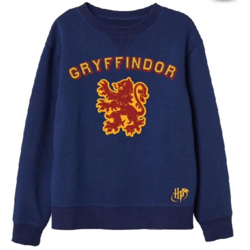 Harry Potter Gryffindor Sweatshirt Blauw Maat 134/140